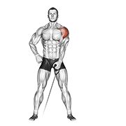 ภาพเคลื่อนไหวสาธิตท่า Cable One Arm Lateral Raise เน้นกล้ามเนื้อไหล่ (เดลทอยด์)