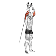 ภาพเคลื่อนไหวสาธิตท่า Cable Overhead Triceps Extension (rope Attachment) เน้นกล้ามเนื้อกล้ามเนื้อหลังแขน (ไทรเซปส์)