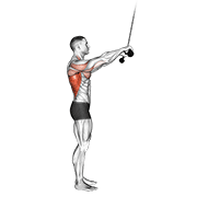 ภาพเคลื่อนไหวสาธิตท่า Cable Pushdown (straight Arm) V. 2 เน้นกล้ามเนื้อปีกหลัง (แลตส์)