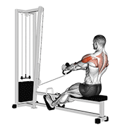 ภาพเคลื่อนไหวสาธิตท่า Cable Rear Delt Row (stirrups) เน้นกล้ามเนื้อไหล่ (เดลทอยด์)