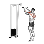 ภาพเคลื่อนไหวสาธิตท่า Cable Rear Delt Row (with Rope) เน้นกล้ามเนื้อไหล่ (เดลทอยด์)