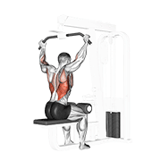 ภาพเคลื่อนไหวสาธิตท่า Cable Rear Pulldown เน้นกล้ามเนื้อปีกหลัง (แลตส์)