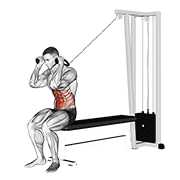 ภาพเคลื่อนไหวสาธิตท่า Cable Seated Crunch เน้นกล้ามเนื้อหน้าท้อง