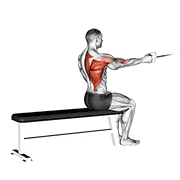 ภาพเคลื่อนไหวสาธิตท่า Cable Seated One Arm Alternate Row เน้นกล้ามเนื้อหลังส่วนบน