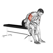 ภาพเคลื่อนไหวสาธิตท่า Cable Seated Rear Lateral Raise เน้นกล้ามเนื้อไหล่ (เดลทอยด์)