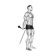 ภาพเคลื่อนไหวสาธิตท่า Cable Standing Back Wrist Curl เน้นกล้ามเนื้อแขนท่อนล่าง