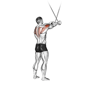 ภาพเคลื่อนไหวสาธิตท่า Cable Standing Cross-over High Reverse Fly เน้นกล้ามเนื้อไหล่ (เดลทอยด์)