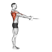 ภาพเคลื่อนไหวสาธิตท่า Cable Standing Row (v-bar) เน้นกล้ามเนื้อหลังส่วนบน