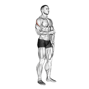 ภาพเคลื่อนไหวสาธิตท่า Cable Standing Shoulder External Rotation เน้นกล้ามเนื้อไหล่ (เดลทอยด์)
