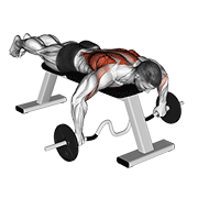 ภาพเคลื่อนไหวสาธิตท่า Cambered Bar Lying Row เน้นกล้ามเนื้อหลังส่วนบน