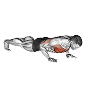 ภาพเคลื่อนไหวสาธิตท่า Clock Push-up เน้นกล้ามเนื้อกล้ามเนื้อหน้าอก