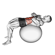 ภาพเคลื่อนไหวสาธิตท่า Crunch (on Stability Ball) เน้นกล้ามเนื้อหน้าท้อง