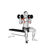 ภาพเคลื่อนไหวสาธิตท่า Dumbbell Arnold Press V. 2 เน้นกล้ามเนื้อไหล่ (เดลทอยด์)