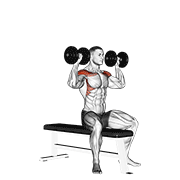ภาพเคลื่อนไหวสาธิตท่า Dumbbell Bench Seated Press เน้นกล้ามเนื้อไหล่ (เดลทอยด์)