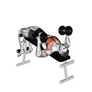 ภาพเคลื่อนไหวสาธิตท่า Dumbbell Decline Hammer Press เน้นกล้ามเนื้อกล้ามเนื้อหน้าอก
