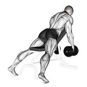 ภาพเคลื่อนไหวสาธิตท่า Dumbbell Decline Shrug V. 2 เน้นกล้ามเนื้อกล้ามเนื้อบ่า (แทรปส์)