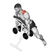 ภาพเคลื่อนไหวสาธิตท่า Dumbbell Decline Shrug เน้นกล้ามเนื้อกล้ามเนื้อบ่า (แทรปส์)
