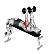 ภาพเคลื่อนไหวสาธิตท่า Dumbbell Decline Triceps Extension เน้นกล้ามเนื้อกล้ามเนื้อหลังแขน (ไทรเซปส์)