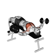 ภาพเคลื่อนไหวสาธิตท่า Dumbbell Decline Twist Fly เน้นกล้ามเนื้อกล้ามเนื้อหน้าอก