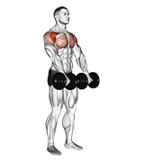 ภาพเคลื่อนไหวสาธิตท่า Dumbbell Front Raise เน้นกล้ามเนื้อไหล่ (เดลทอยด์)
