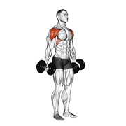 ภาพเคลื่อนไหวสาธิตท่า Dumbbell Full Can Lateral Raise เน้นกล้ามเนื้อไหล่ (เดลทอยด์)
