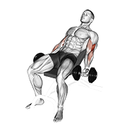ภาพเคลื่อนไหวสาธิตท่า Dumbbell Incline Curl V. 2 เน้นกล้ามเนื้อกล้ามเนื้อหน้าแขน (ไบเซปส์)