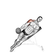 ภาพเคลื่อนไหวสาธิตท่า Dumbbell Incline One Arm Lateral Raise เน้นกล้ามเนื้อไหล่ (เดลทอยด์)