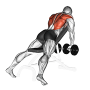 ภาพเคลื่อนไหวสาธิตท่า Dumbbell Incline Row เน้นกล้ามเนื้อหลังส่วนบน