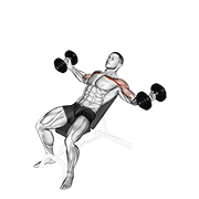 ภาพเคลื่อนไหวสาธิตท่า Dumbbell Incline Twisted Flyes เน้นกล้ามเนื้อกล้ามเนื้อหน้าอก