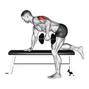 ภาพเคลื่อนไหวสาธิตท่า Dumbbell Kickback เน้นกล้ามเนื้อกล้ามเนื้อหลังแขน (ไทรเซปส์)