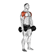 ภาพเคลื่อนไหวสาธิตท่า Dumbbell Lateral To Front Raise เน้นกล้ามเนื้อไหล่ (เดลทอยด์)