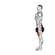 ภาพเคลื่อนไหวสาธิตท่า Dumbbell Lunge เน้นกล้ามเนื้อกล้ามเนื้อก้น