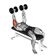 ภาพเคลื่อนไหวสาธิตท่า Dumbbell Lying Extension (across Face) เน้นกล้ามเนื้อกล้ามเนื้อหลังแขน (ไทรเซปส์)