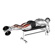 ภาพเคลื่อนไหวสาธิตท่า Dumbbell Lying Femoral เน้นกล้ามเนื้อต้นขาด้านหลัง (แฮมสตริง)