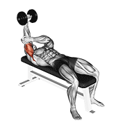 ภาพเคลื่อนไหวสาธิตท่า Dumbbell Lying One Arm Pronated Triceps Extension เน้นกล้ามเนื้อกล้ามเนื้อหลังแขน (ไทรเซปส์)