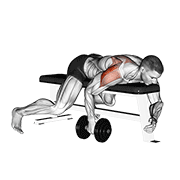 ภาพเคลื่อนไหวสาธิตท่า Dumbbell Lying One Arm Rear Lateral Raise เน้นกล้ามเนื้อไหล่ (เดลทอยด์)