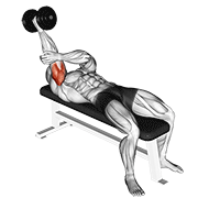 ภาพเคลื่อนไหวสาธิตท่า Dumbbell Lying One Arm Supinated Triceps Extension เน้นกล้ามเนื้อกล้ามเนื้อหลังแขน (ไทรเซปส์)