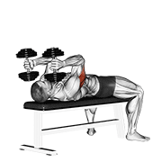 ภาพเคลื่อนไหวสาธิตท่า Dumbbell Lying Triceps Extension เน้นกล้ามเนื้อกล้ามเนื้อหลังแขน (ไทรเซปส์)