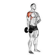ภาพเคลื่อนไหวสาธิตท่า Dumbbell One Arm Lateral Raise เน้นกล้ามเนื้อไหล่ (เดลทอยด์)