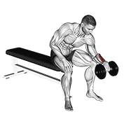 ภาพเคลื่อนไหวสาธิตท่า Dumbbell One Arm Reverse Wrist Curl เน้นกล้ามเนื้อแขนท่อนล่าง