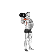 ภาพเคลื่อนไหวสาธิตท่า Dumbbell One Arm Shoulder Press V. 2 เน้นกล้ามเนื้อไหล่ (เดลทอยด์)