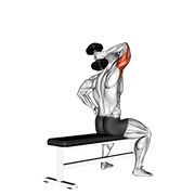 ภาพเคลื่อนไหวสาธิตท่า Dumbbell One Arm Triceps Extension (on Bench) เน้นกล้ามเนื้อกล้ามเนื้อหลังแขน (ไทรเซปส์)