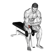 ภาพเคลื่อนไหวสาธิตท่า Dumbbell One Arm Wrist Curl เน้นกล้ามเนื้อแขนท่อนล่าง