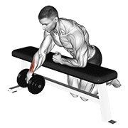 ภาพเคลื่อนไหวสาธิตท่า Dumbbell Over Bench One Arm Wrist Curl เน้นกล้ามเนื้อแขนท่อนล่าง
