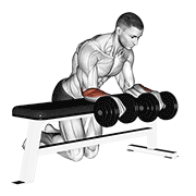 ภาพเคลื่อนไหวสาธิตท่า Dumbbell Over Bench Wrist Curl เน้นกล้ามเนื้อแขนท่อนล่าง