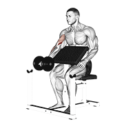 ภาพเคลื่อนไหวสาธิตท่า Dumbbell Preacher Curl เน้นกล้ามเนื้อกล้ามเนื้อหน้าแขน (ไบเซปส์)