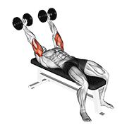 ภาพเคลื่อนไหวสาธิตท่า Dumbbell Pronate-grip Triceps Extension เน้นกล้ามเนื้อกล้ามเนื้อหลังแขน (ไทรเซปส์)