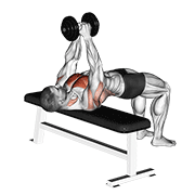 ภาพเคลื่อนไหวสาธิตท่า Dumbbell Pullover เน้นกล้ามเนื้อกล้ามเนื้อหน้าอก