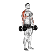 ภาพเคลื่อนไหวสาธิตท่า Dumbbell Raise เน้นกล้ามเนื้อไหล่ (เดลทอยด์)