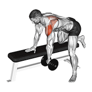 ภาพเคลื่อนไหวสาธิตท่า Dumbbell Rear Delt Row_shoulder เน้นกล้ามเนื้อไหล่ (เดลทอยด์)
